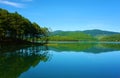 Pine tree reflect, Tuyen Lam lake Royalty Free Stock Photo