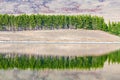 Pine tree reflection with lake Royalty Free Stock Photo