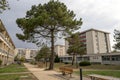 Pine tree at residential building complex with outdoor facilities Royalty Free Stock Photo