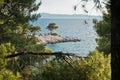 Pine tree on a rock over crystal clear turquoise water, Cape Amarandos at Skopelos island Royalty Free Stock Photo