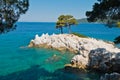 Pine tree on a rock over crystal clear turquoise water, Cape Amarandos at Skopelos island Royalty Free Stock Photo