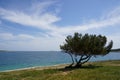 Cape Kamenjak, Premantura, Istria, Croatia Royalty Free Stock Photo