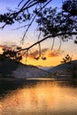 Pine tree silhouette, dramatic clouds and sky and brilliant sunset over reflective, silky water lake Zavoj Royalty Free Stock Photo