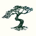 Pine tree silhouette, hand drawn doodle sketch, black and white vector Royalty Free Stock Photo