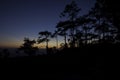 Pine tree silhouette on mountain sunset Royalty Free Stock Photo