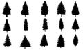 Pine tree silhouette set collection vector illustration Royalty Free Stock Photo