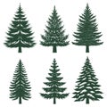 Pine tree silhouette set collection Royalty Free Stock Photo