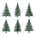 Pine tree silhouette set collection Royalty Free Stock Photo