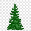 Pine tree silhouette, set. Forest coniferous tree. Evergreen culture. Pine, cedar, spruce. Eps 10 Royalty Free Stock Photo