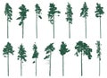 Pine tree silhouette, set. Forest coniferous tree. Vector illustration