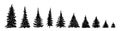 Pine tree silhouettes collection, hand drawn doodle sketch, black and white illustration Royalty Free Stock Photo