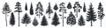 Pine tree silhouettes. Evergreen forest firs and spruces black shapes, wild nature trees templates. Vector woodland Royalty Free Stock Photo