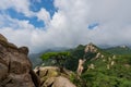 A pine tree standing alon at dobong mountian. Royalty Free Stock Photo