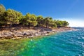 Pine tree and stone beach Royalty Free Stock Photo