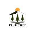Pine tree sunset logo vector illustration design, colors trees, sunrise logo, nature, outdoor, adveenture Royalty Free Stock Photo