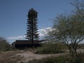Pine Tree in Tucson?? - It`s a Cell Tower