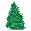 Pine tree vector illustration