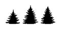 Pine tree vector shape set. Hand drawn stylized black monochrome illustration collection isolated on white background