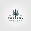 Pine tree vintage logo evergreen spruce fir vector emblem illustration design