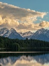 Pine Trees across Jackson Lake Royalty Free Stock Photo