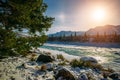 Pine trees, Alpine river and snow-covered shore. Turquoise river in the mountains on a frosty winter day. Incredible mountain Royalty Free Stock Photo