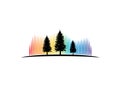 Pine trees with aurora borealis behind