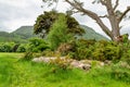 Pine trees on a banks of Muckross Lake, also called Middle Lake or The Torc, located in Killarney National Park, County Kerry,