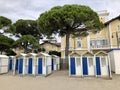 Pine trees and beach cabins in Grado - Italy