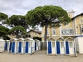 Pine trees and beach cabins in Grado - Italy