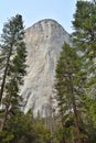 Pine trees and big rock formation Royalty Free Stock Photo