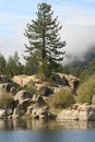 Pine Trees and boulders on Big Bear Lake Royalty Free Stock Photo