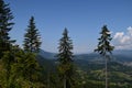 Pine trees and a breathtaking panorama