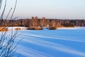 Pine trees, bushes and birches, illuminated by the sun, against the sky and snow, beautiful winter landscape, Royalty Free Stock Photo