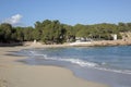 Pine Trees at Cala Bassa Cove Beach; Ibiza