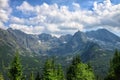 Pine trees closeup and stunning rocky mountain range