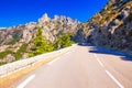 Pine trees in Col de Bavella mountains, Corsica island, France,