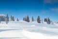 Pine trees covered with hoarfrost and snow in mountains, forest road on the land Royalty Free Stock Photo