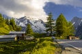 Pine trees in fields in Alp mountains, Martigny-Combe, Martigny, Wallis, Valais, Switzerland Royalty Free Stock Photo