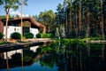 Pine trees in forest with cottage summer autumn nature outdoors holiday relax spa