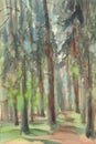 Pine trees in the forest watercolor landscape. Royalty Free Stock Photo