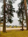 Pine Trees Framing Sandy Beach Park Landscape Royalty Free Stock Photo