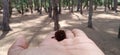 Pine trees garden at Baticoal(Sri Lanka) beach with Pine corn on hand. Royalty Free Stock Photo