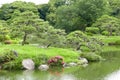 Pine trees, grasses and river in the Japanese zen garden Royalty Free Stock Photo