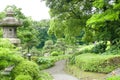 Pine trees, green plants, footpath in Japanese zen garden Royalty Free Stock Photo