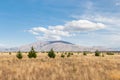 Grassy plains at Canterbury region of South Island, New Zealand