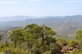 Pine trees growing on the Troodos mountains against the blue sky. Cyprus Royalty Free Stock Photo