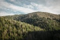 Pine trees and hills landscape in Poland. Royalty Free Stock Photo