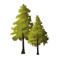 Pine trees icon, colorful design