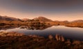 Pine trees island in the Derryclare Lake in Connemara. Royalty Free Stock Photo