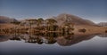 Pine trees island in the Derryclare Lake in Connemara. Royalty Free Stock Photo